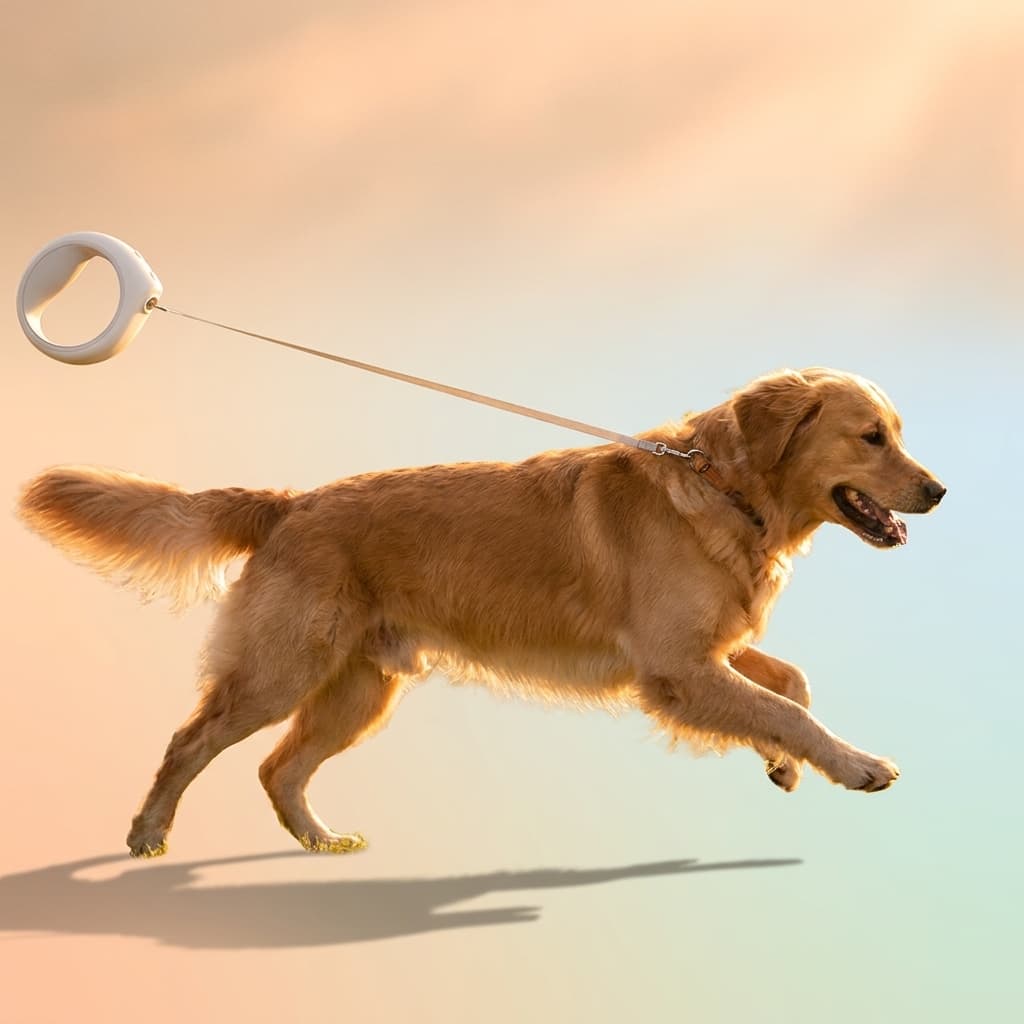 Compact Smart Dog Leash with 3 m (9.8 ft) Rope | Zoomie & Co.