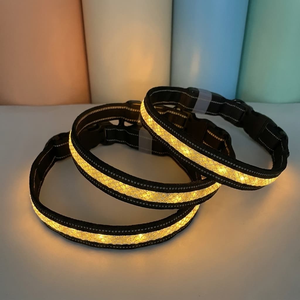 LED Light-Up Dog Collar for Night Walks | Zoomie & Co.