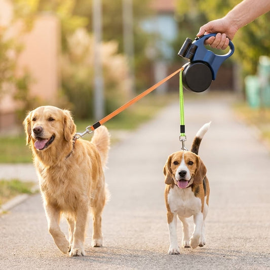 Retractable Double Dog Leash – Two 3 m (9.8 ft) Leads, One Handle | Zoomie & Co.